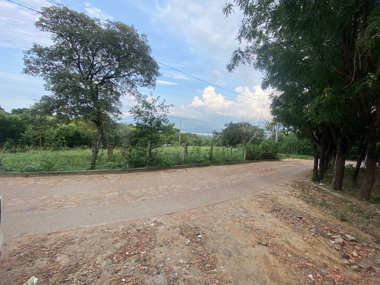 LOTE