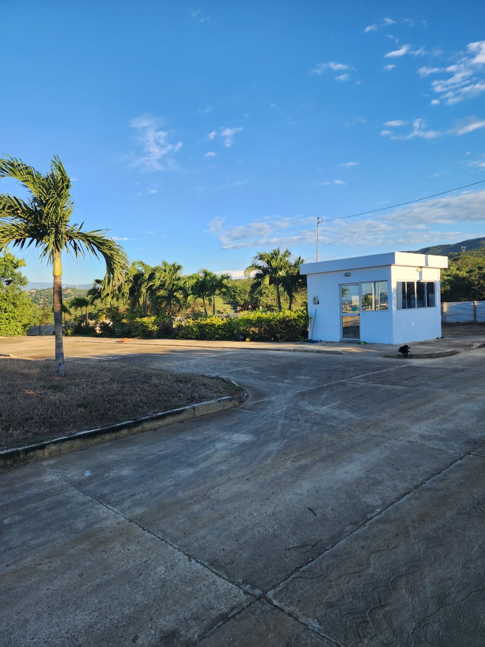 LOTE