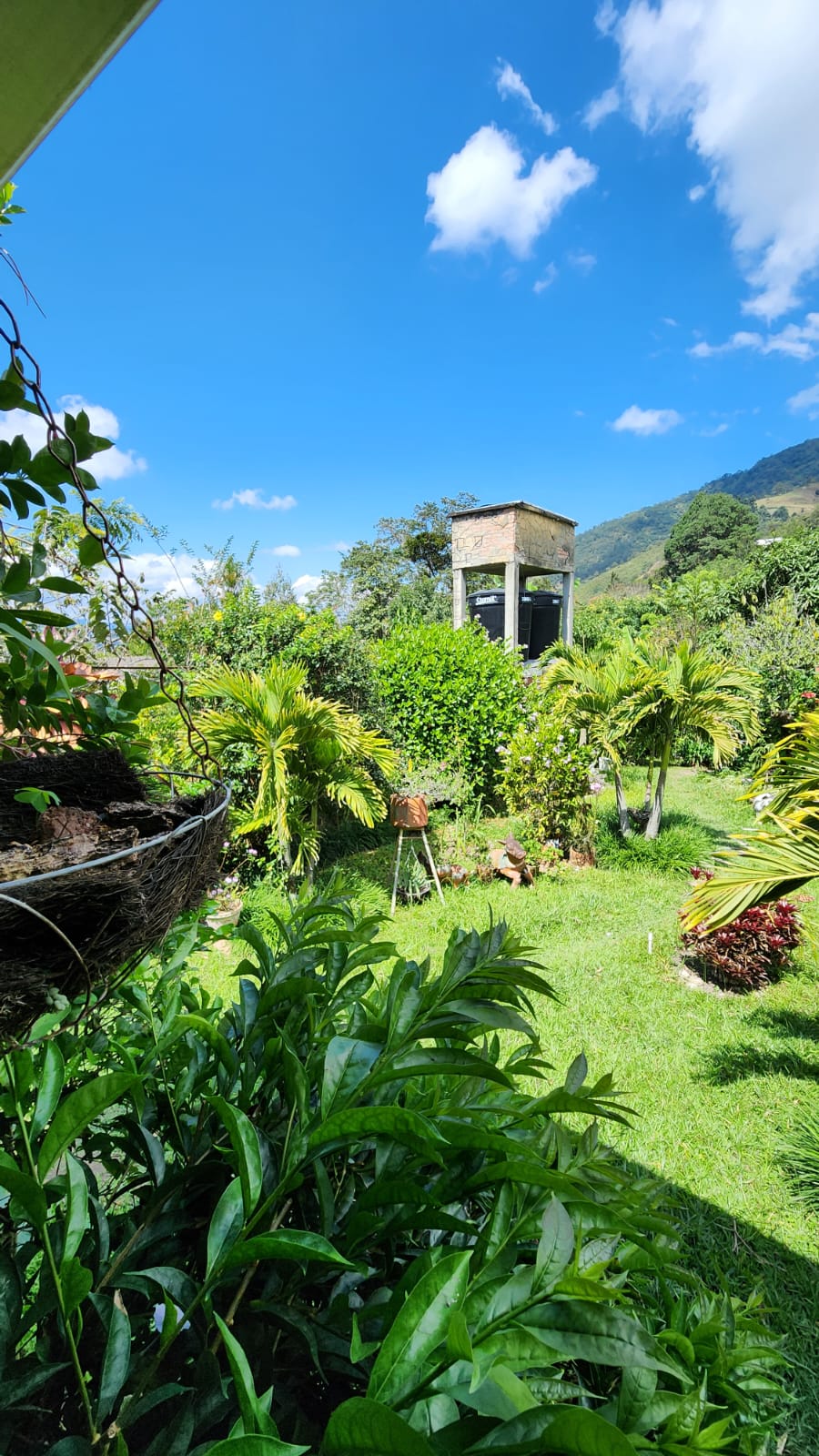 CABAÑA